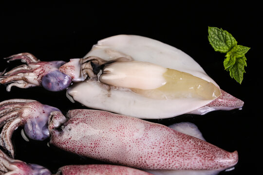 Fresh Raw Squid and Cuttlefish Seafood on Black Background with Mint Garnish