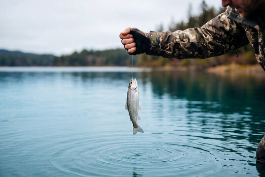 Fisherman holding a small caught fish on a fishing line directly over the calm blue lake water