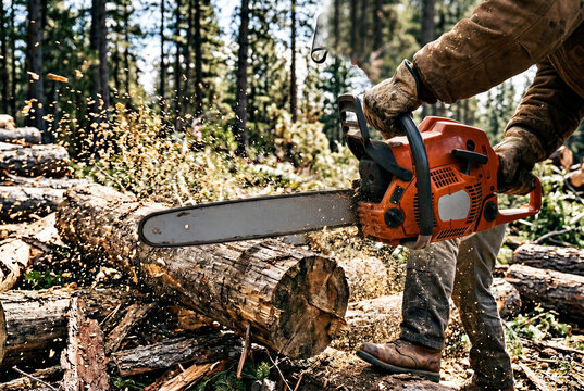 Man wearing gloves cutting a large wooden log with a powerful orange chainsaw in a forest