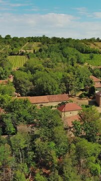 Aerial around view of old rustic vintage houses with wine cellars in Rogljevacke pivnice in Negotin region of Serbia. Vertical video 4k