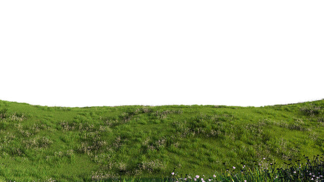 Pink Gaura Isolated PNG, Flowering Meadow Ground Cover, Transparent Background