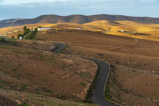 View of a winding road cutting through the arid, hilly landscape of Betancuria under the warm light of the golden hour. Betancuria, Canary Islands, Spain.