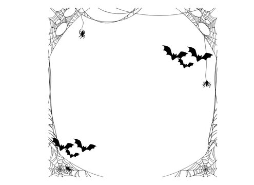 Bat and Spider Web No Background Png
