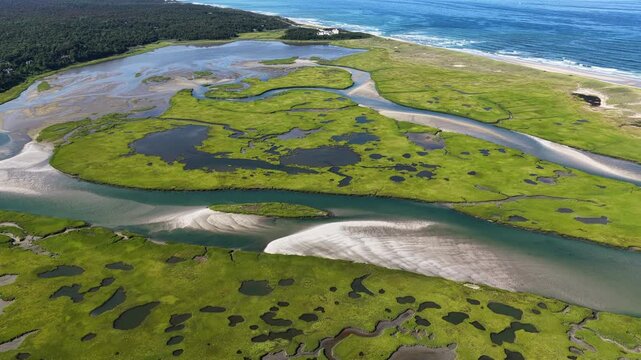 A myriad of channels meander through an extensive salt marsh on the scenic coast of Cape Cod, MA. Marshes provide critical habitat for many birds, fish, and invertebrates to feed, mate, and nest.