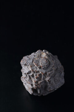 Prophecy Pseudomorph Stone