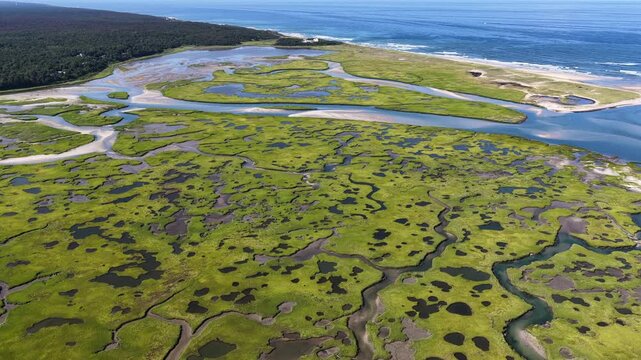 A myriad of channels meander through an extensive salt marsh on the scenic coast of Cape Cod, MA. Marshes provide critical habitat for many birds, fish, and invertebrates to feed, mate, and nest.