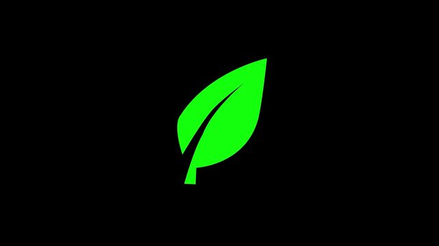 Stunning 4K Ultra HD video featuring a vibrant bright green leaf symbol graphic art element isolated on a clean deep solid black background for modern digital design projects.