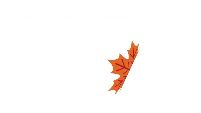Single Autumn Maple Leaf Drifting Across a Clean White Background with Warm Seasonal Motion Prores Alpha 4K 60 fps