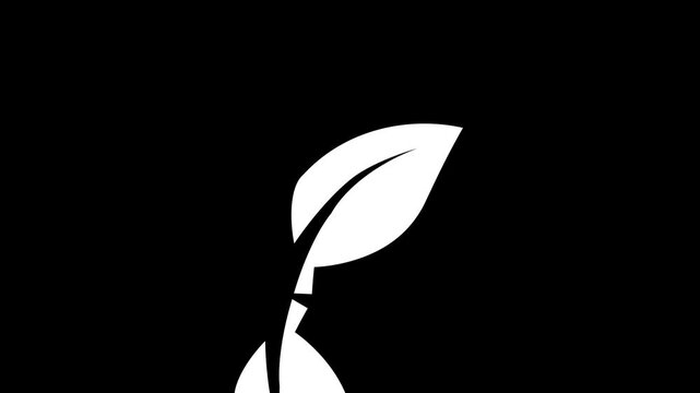 Stunning 4K Ultra HD video featuring a vibrant bright green leaf symbol graphic art element isolated on a clean deep solid black background for modern digital design projects.