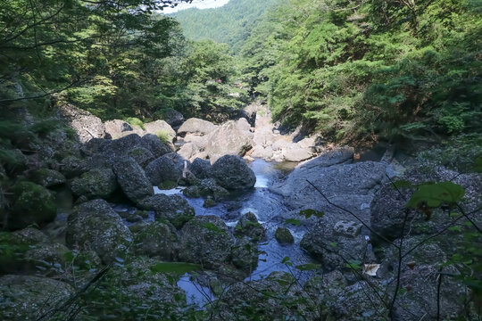 袋田の滝から流れ出た滝川。