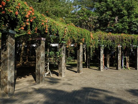 Stone pillar garden pergola covered with blooming orange flame vines in a sunny public park.