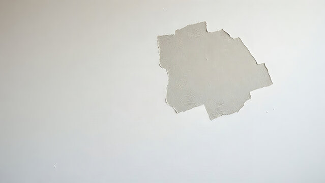 Freshly patched wall with subtle color variation, soft natural light highlighting texture.