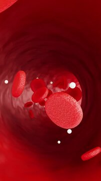 Blood Cells Flowing in a Vein