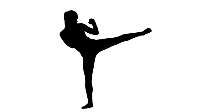 Dynamic karate martial arts fighter performing a powerful high kick movement in this black silhouette vector graphic design isolated against a plain white solid backdrop