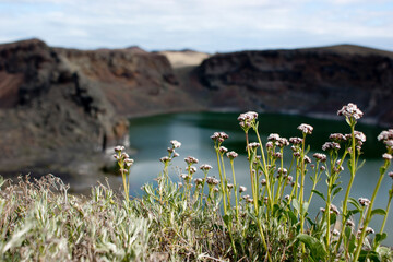 Laguna Azul volcanic crater lake surrounded by wildflowers in Patagonia near Rio Gallegos, Argentina. © Juan