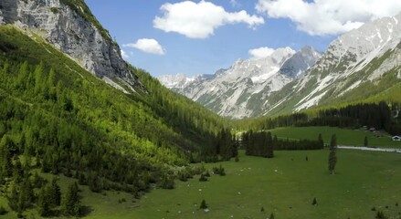 Breathtaking Green Alpine Valley with Snow-Capped Peaks and Blue SkyStunning wide view of a lush green mountain valley, framed by steep forested slopes in the foreground and majestic snow-dusted alpin © Chatthada