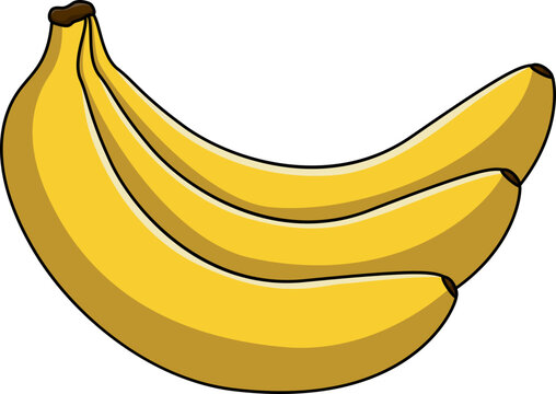 Hand drawn vector illustration featuring three ripe yellow bananas isolated on white background