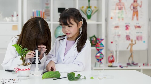 Asian Schoolgirls in Lab Coats Using Microscope for Biology Experiment
