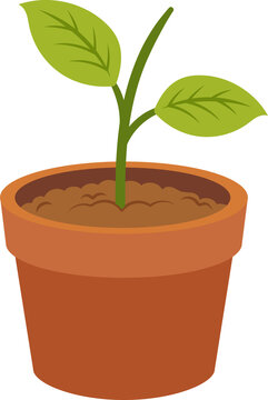 Small green seedling growing in a terracotta pot representing growth and sustainability