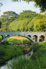Fototapeta premium Stone Arch Bridge Over Lush Green Stream in a Peaceful Park