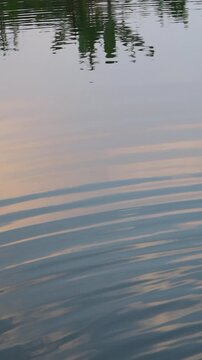 Vertical calm lake ripples with tree reflection, West Java, Indonesia
