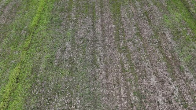 Aerial view of dry and cracked soil surface in agriculture field. During dry weather clay particles shrink and pull more tightly to each other.