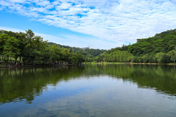 Obraz premium Serene Park Lake with Green Hills and Cloudy Blue Sky