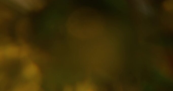 Blur radiant texture. Glare art. Warm yellow bright color gleam glisten visual reflection on abstract bokeh dark black background.