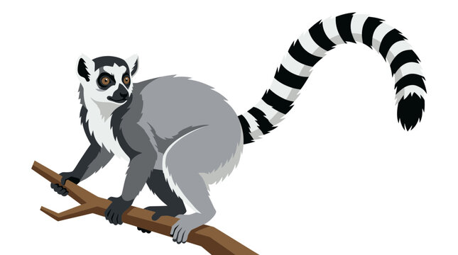 Ring tailed lemur perched on branch