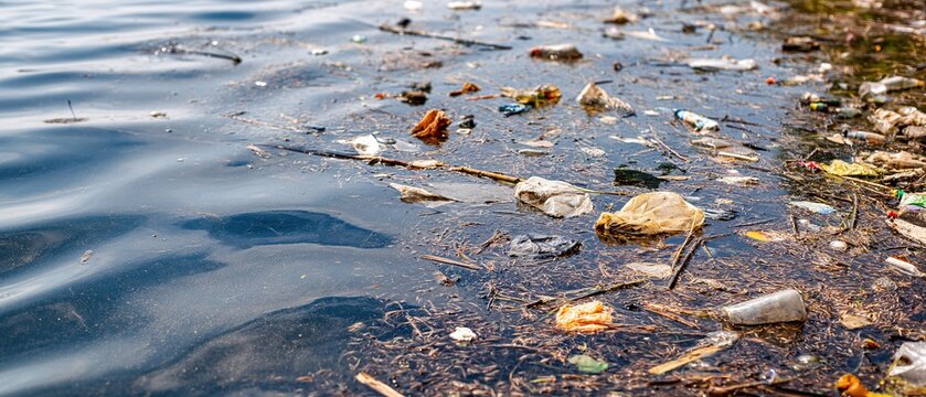 Detailed view of polluted water revealing debris and unclear appearance emphasizing environmental challenges