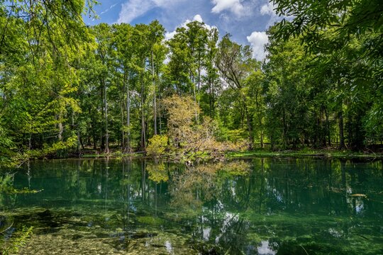 Ginnie Springs and Santa Fe River, Florida