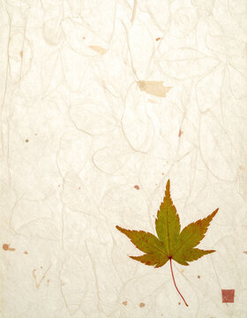 和紙の質感を背景にした一枚の紅葉　秋の訪れを感じる静寂な雰囲気と文字入れのためのコピースペースがある縦長のデザイン素材