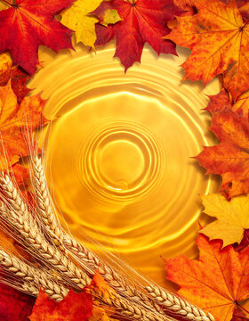 紅葉したカエデの葉と黄金色の波紋が広がる水面の背景　秋の収穫をイメージした麦の穂とコピースペース付きの季節感あふれるフレーム素材　チラシやバナー広告に使用可能な秋らしい自然の装飾デザイン