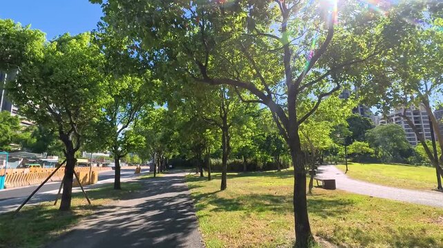 Sunny paved pathway winding through lush green trees in an urban park, 4K b-roll
