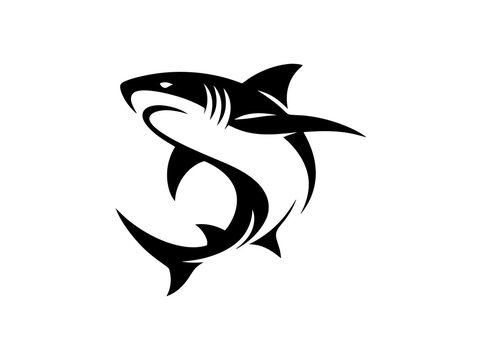 vector image of a fish