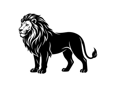 lion vector illustration