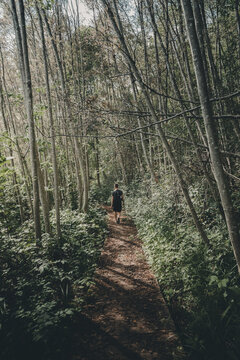 Paganamaa, Voru County, Estonia - 28 July 2023: View of a person walking along a dirt path through a dense forest with tall, thin trees in the Paganamaa nature area.