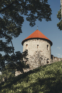 Cesis, Latvia - 26 July 2023: View of Cesis Castle, a medieval stone fortress with a distinctive red conical roof, set against a clear blue sky and framed by lush green trees.