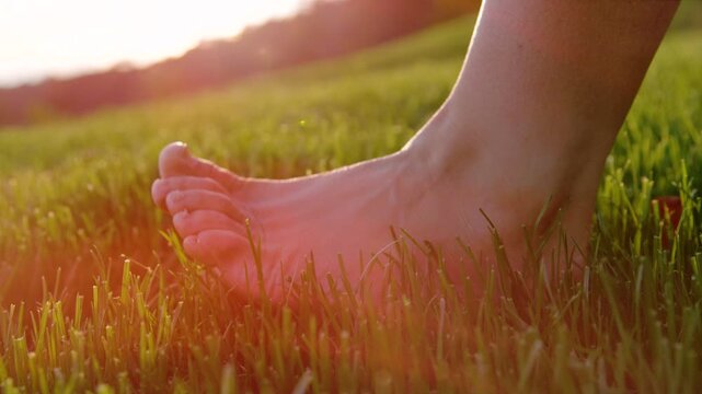LENS FLARE, CLOSE UP, DOF: Barefoot woman walks gently on a cultivated lawn in warm golden sunlight. Peaceful morning moments in home country garden for relaxation, grounding and general contentment.