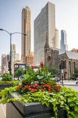 Fototapeta premium Chicago, Illinois