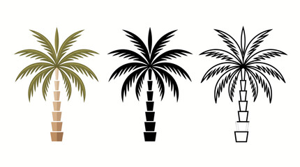 Fototapeta premium Three palm tree illustrations in different styles: full-color, black silhouette, and line outline for tropical, beach, and travel-themed design projects