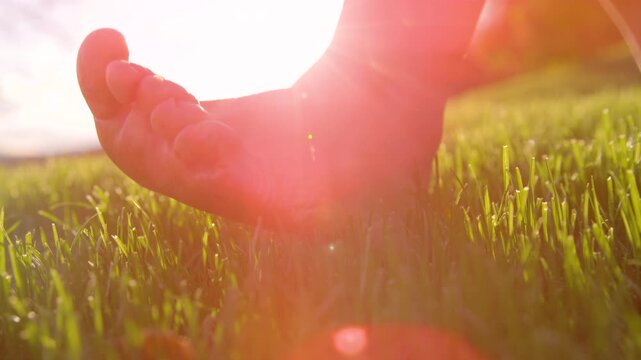 LENS FLARE, CLOSE UP, DOF: Unrecognizable young woman walking barefoot across green grass. Golden autumn morning sunlight creates a warm sense of freedom, calm and pristine connection with nature.