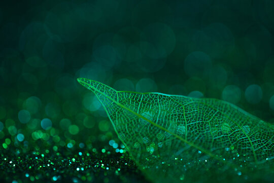 abstract leaf skeletons on a green background