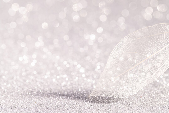 Dried leaf skeletons, translucent leaves as a white abstract background