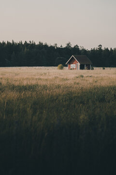 View of a small red wooden house situated in a vast field of tall grass with a dense forest in the background on Vormsi island, Laane County, Estonia.