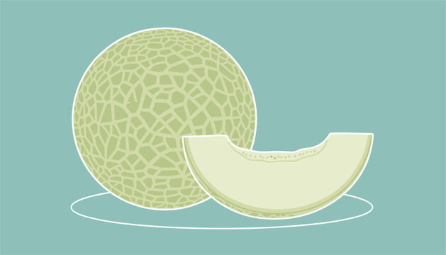 Fresh juicy cantaloupe melon with a clean slice next to it on a simple plate against a soft teal background.