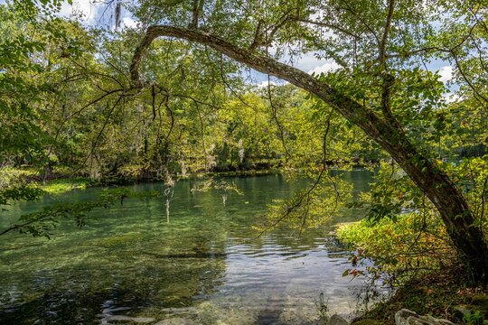 ginnie springs, florida, santa fe river, high springs, springs, water, lake, river, boat, recreation, green, forest, sport, nature, fishing, summer, landscape, kayak, people, leisure, boating, kayakin