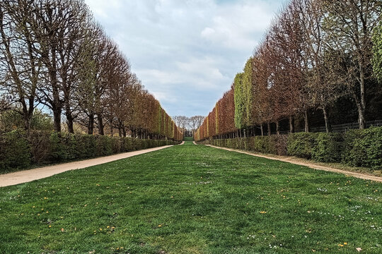 Paris, France - 02 April 2026: View of a symmetrical garden path lined with tall, trimmed trees and lush green grass in a park.