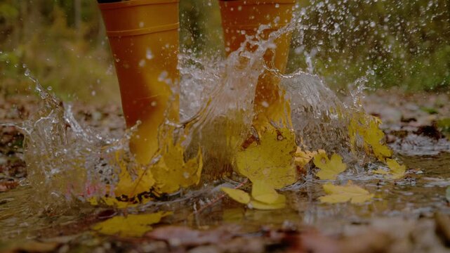 CLOSE UP, SLOW MOTION: Person in bright yellow rubber boots jumping into a forest puddle. Water splashes over colorful fallen leaves. Playful and authentic autumn moment during a walk after rain.