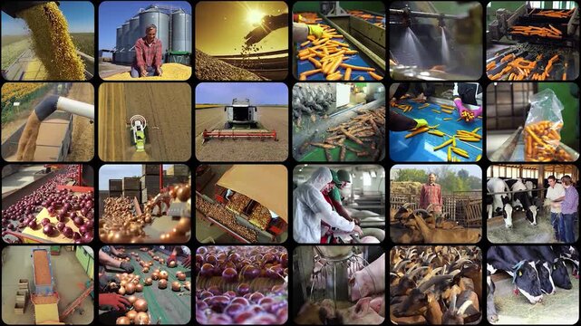 Mega Split Screen Corporate Video - From Renewable Energy and Modern Manufacturing to Bio Agriculture. Global Industry and Farming Multi-Window Montage.
